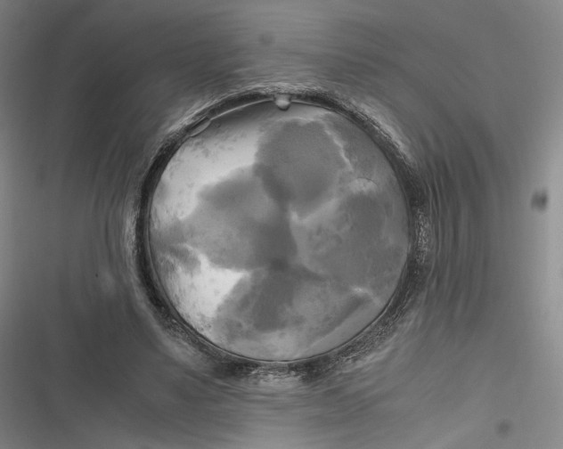 X0000116800491201001081337