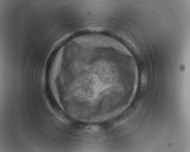 X0000116800492201001081337