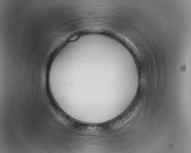 X0000116800493201001081337