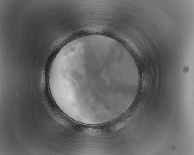X0000116800494201001081337