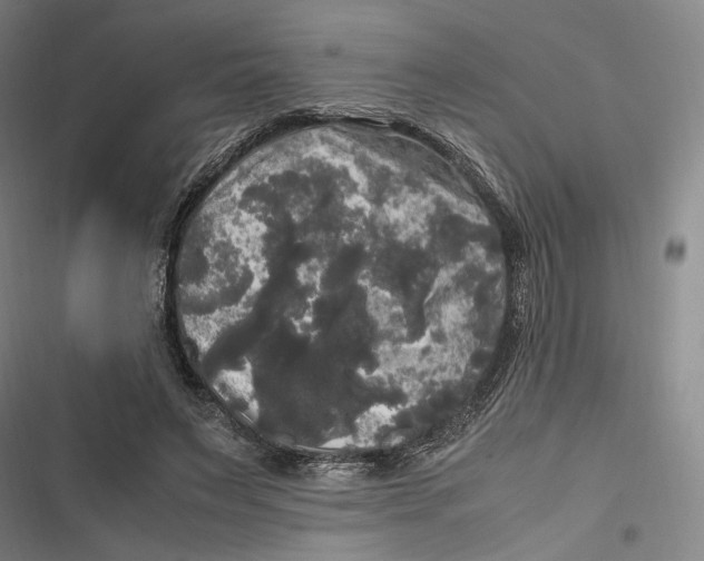 X0000116800495201001081337