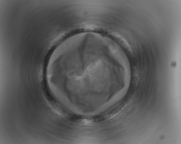 X0000116800496201001081337