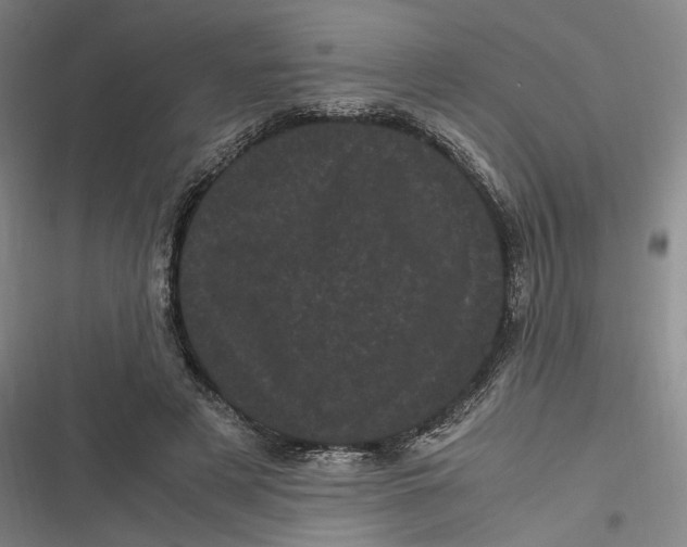 X0000116800497201001081337