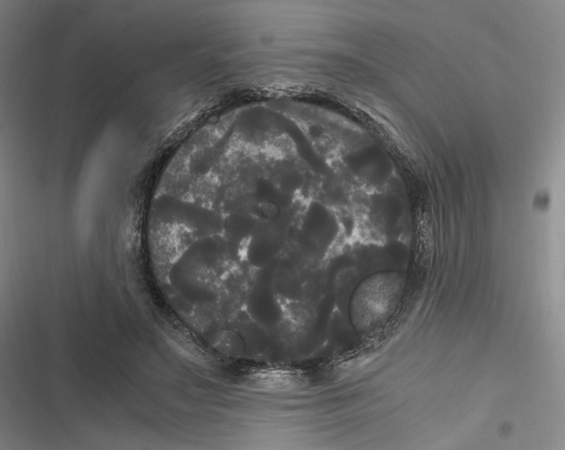X0000116800499201001081337