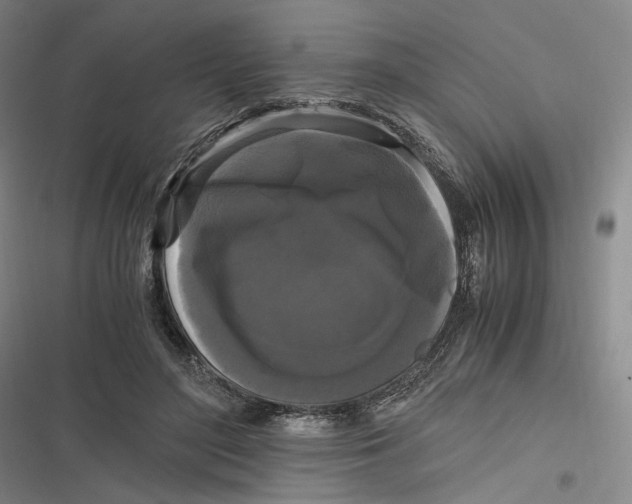 X0000116800500201001081337