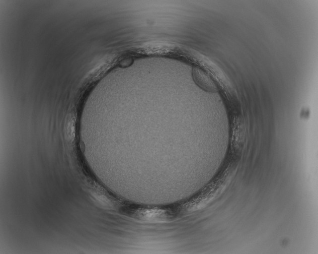 X0000116800501201001081337