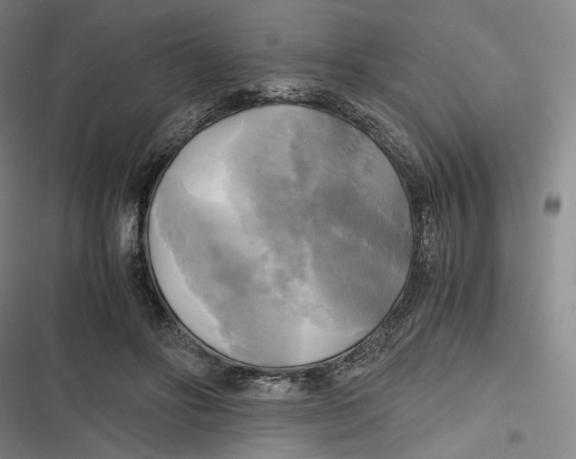 X0000116800502201001081337