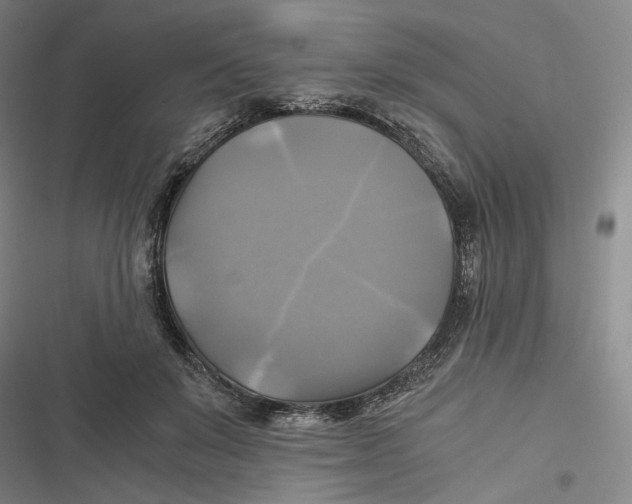 X0000116800503201001081337