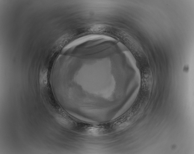 X0000116800504201001081337