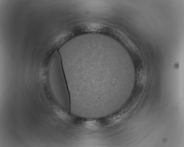 X0000116800505201001081337