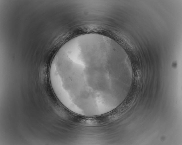 X0000116800506201001081337