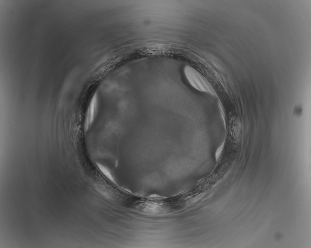 X0000116800507201001081337