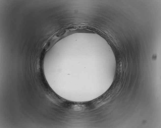 X0000116800508201001081337