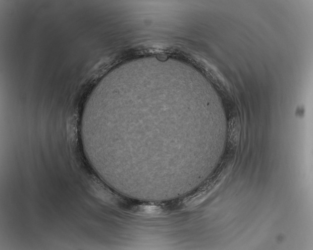 X0000116800509201001081337