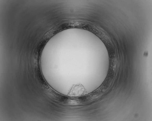 X0000116800510201001081337