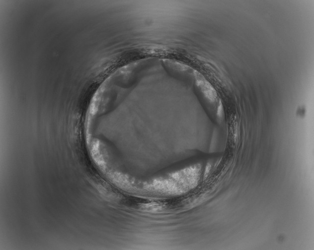X0000116800511201001081337