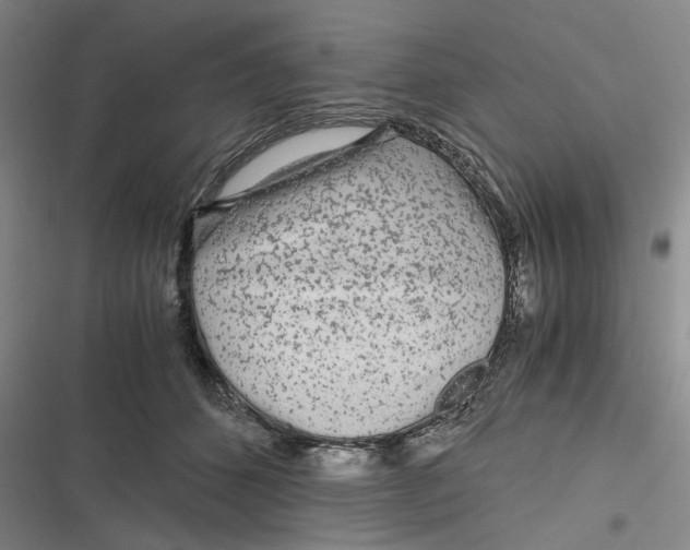 X0000116800512201001081337