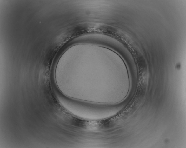 X0000116800513201001081337