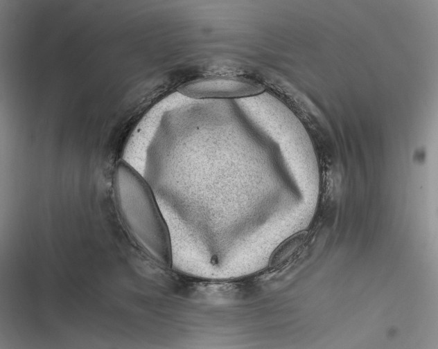 X0000116800517201001081337