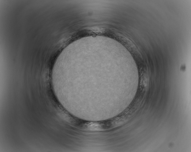 X0000116800518201001081337