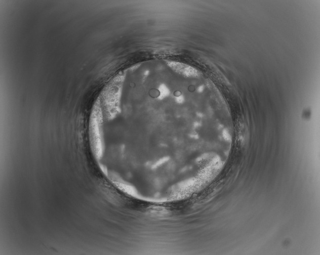 X0000116800519201001081337