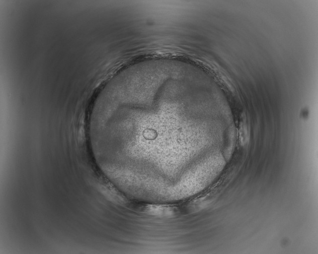 X0000116800520201001081337