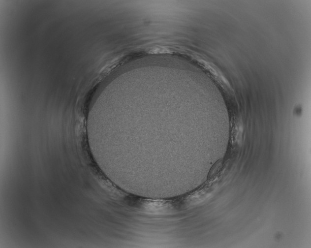 X0000116800521201001081337