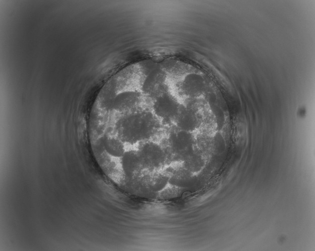 X0000116800523201001081337