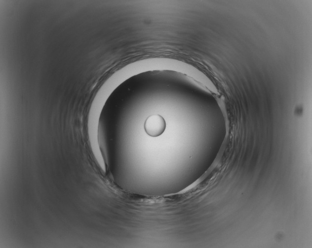 X0000116800524201001081337