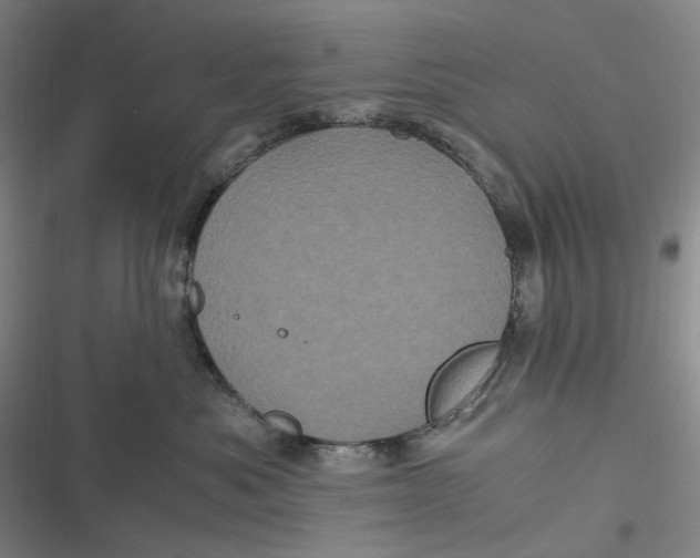 X0000116800525201001081337