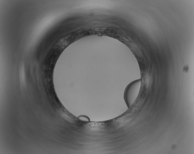 X0000116800526201001081337