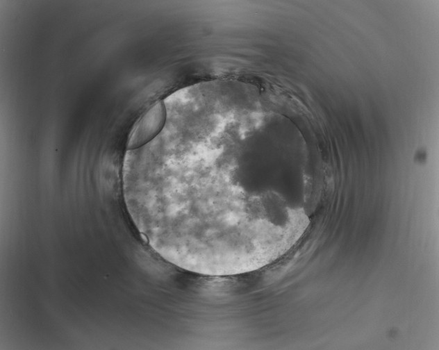 X0000116800527201001081337