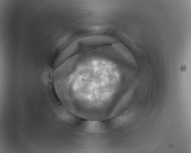X0000116800528201001081337
