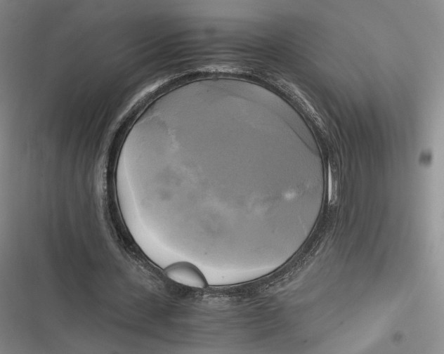 X0000116800531201001081336