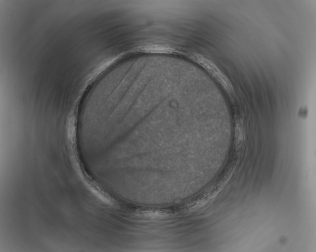 X0000116800533201001081336