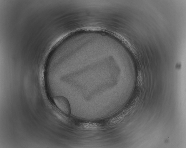 X0000116800535201001081336