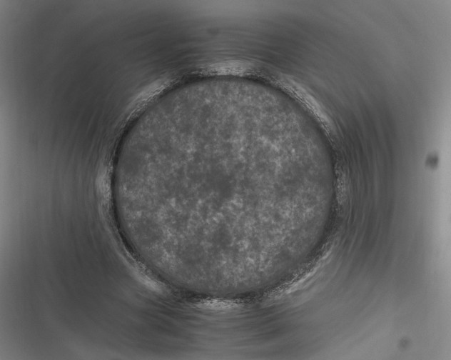 X0000116800537201001081336