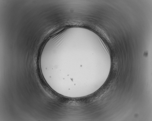 X0000116800538201001081336
