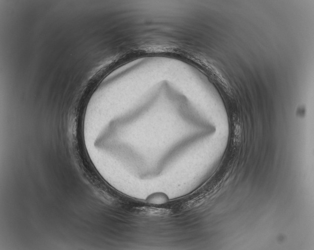 X0000116800539201001081336