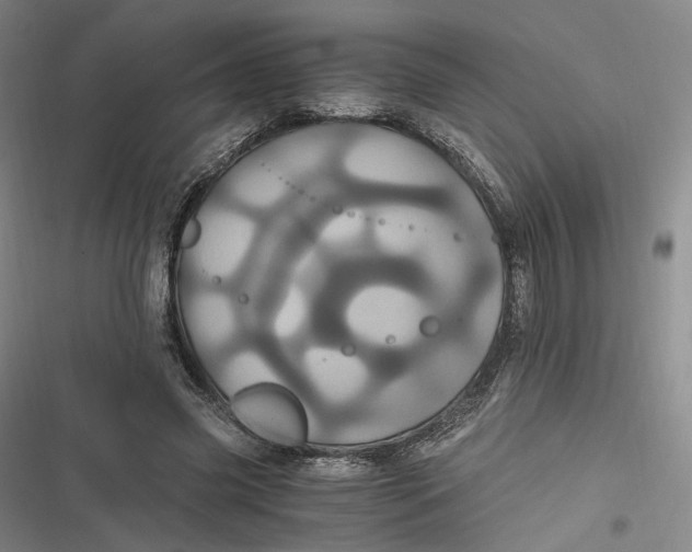 X0000116800541201001081336