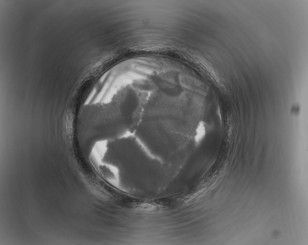 X0000116800542201001081336
