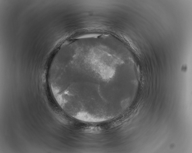 X0000116800543201001081336