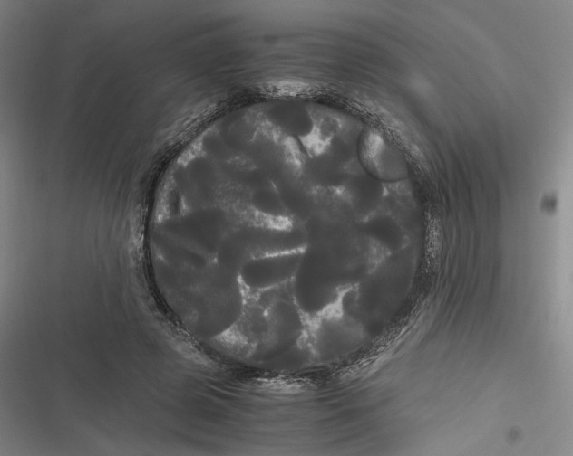 X0000116800545201001081336