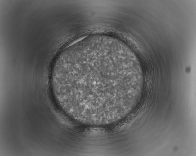 X0000116800546201001081336