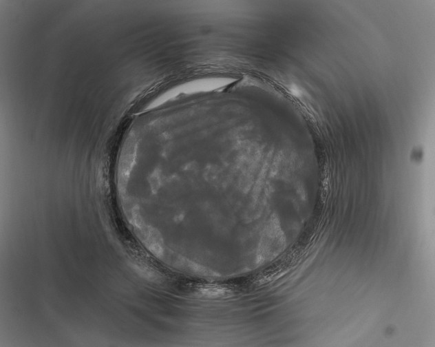 X0000116800547201001081336