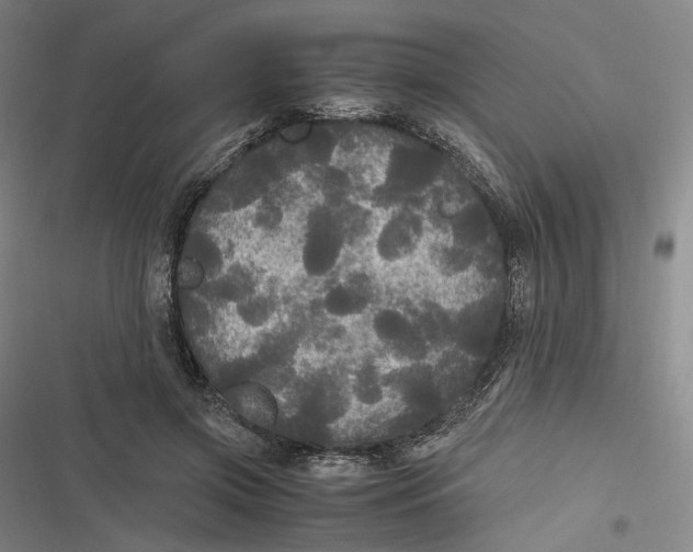 X0000116800549201001081336