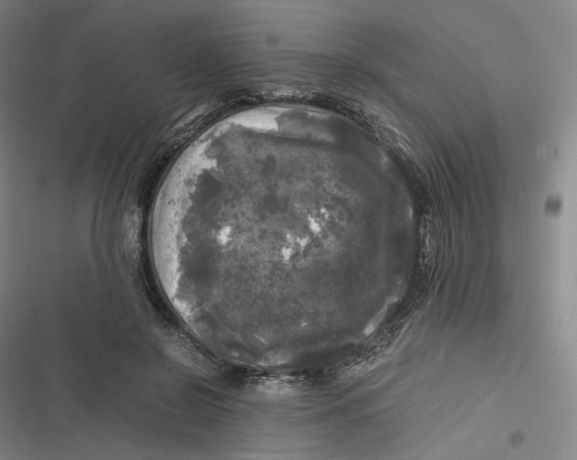 X0000116800550201001081336