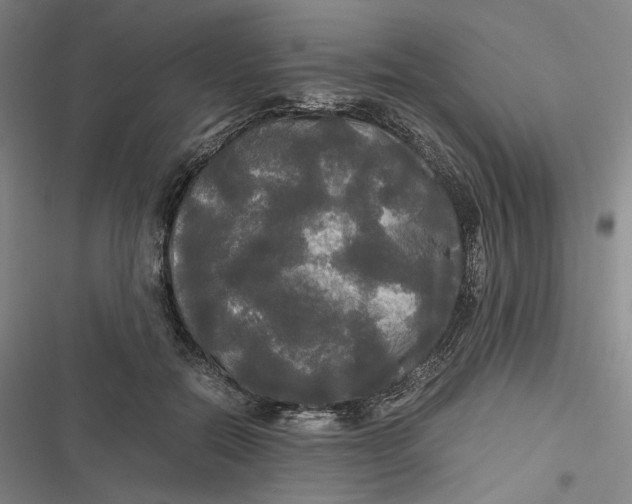 X0000116800554201001081337