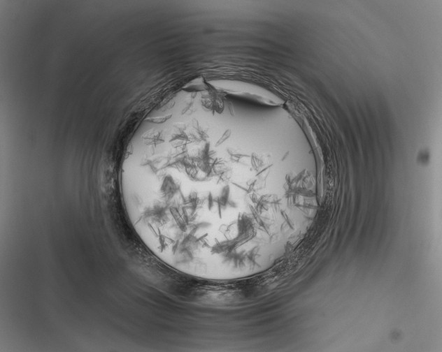 X0000116800555201001081337