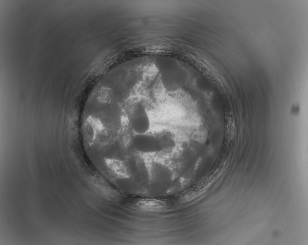 X0000116800557201001081337